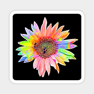 Cartoon Rainbow Sunflower Magnet