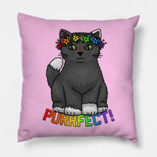 Purrfect Kitty Pillow