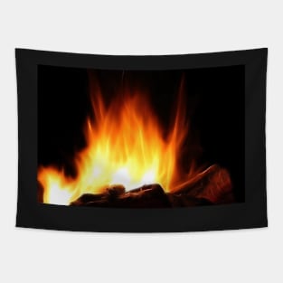 Braai Fire Tapestry