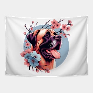 Spanish Mastiff Enjoys Spring Amidst Cherry Blossoms Tapestry