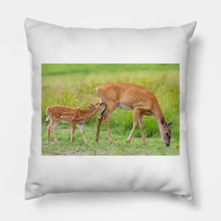 In one end...and out the udder - Deer Pillow