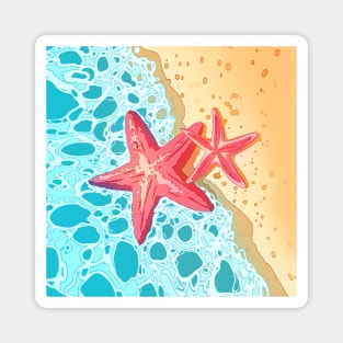 Red sea stars and the ocean Magnet