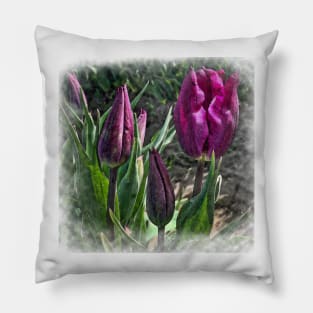 Dark Purple Tulips Opening Pillow