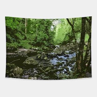 River through the Forest Tapestry