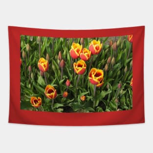 Tulips, Washington State, Nature, gifts, Natural Vibes Tapestry