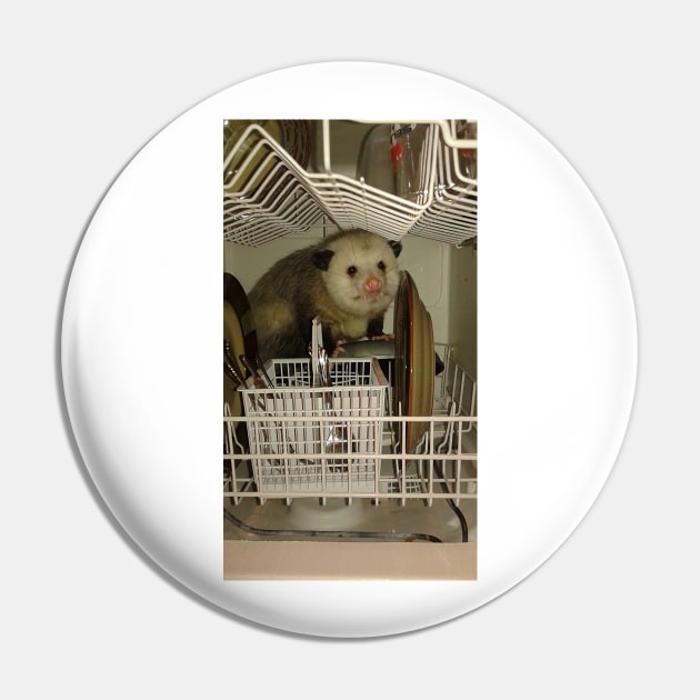 Dishwasher Possum Pin by FlashmanBiscuit