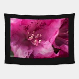 Pink flower close-up Tapestry