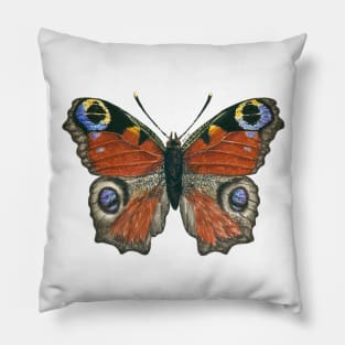 Peacock butterfly Pillow