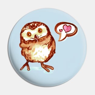 Baby's First Owl Pin