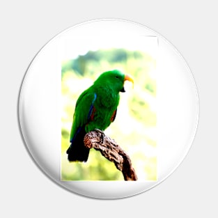 Eclectus Shouting The Odds Pin