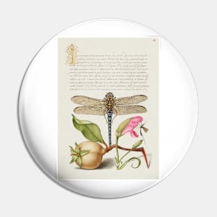 Antique 16th Century Calligraphy with Dragonfly and Flora Pin