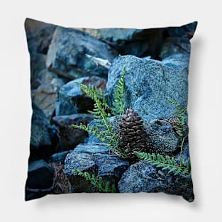 Tiny Ferns and Pinecone Pillow