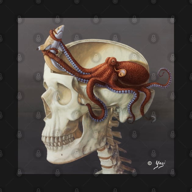 Octoskull by Sandra Yagi