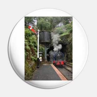 Haverthwaite Station Pin