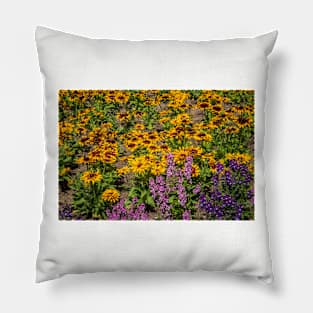 Untitled Pillow