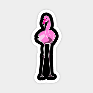 Flamingos flamingo Magnet