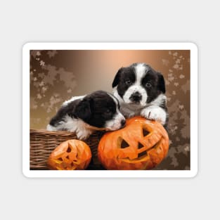 Pumpkin Puppies Magnet