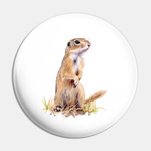 European ground squirrel Pin