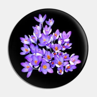 New Spring Crocuses Pin