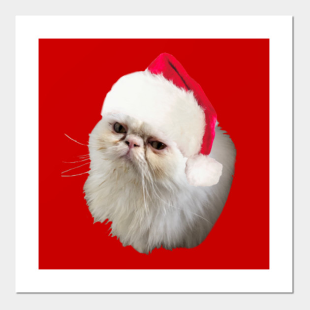 Christmas Santa Hat Cat Cat Persian Cats Posters And Art
