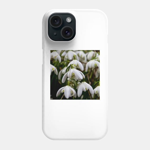 Not long till spring Phone Case by Violaman