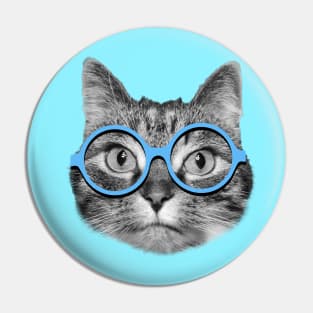 Cute hipster cat wearing big blue eyeglasses Pin