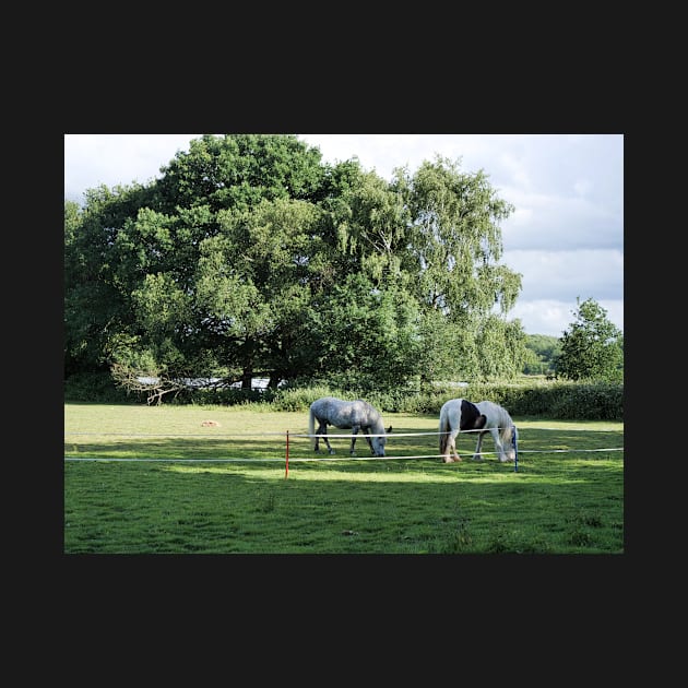 Ponies grazing in the woodland by fantastic-designs