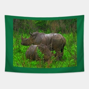 Rhinos, Hluhluwe National Park, South Africa Tapestry