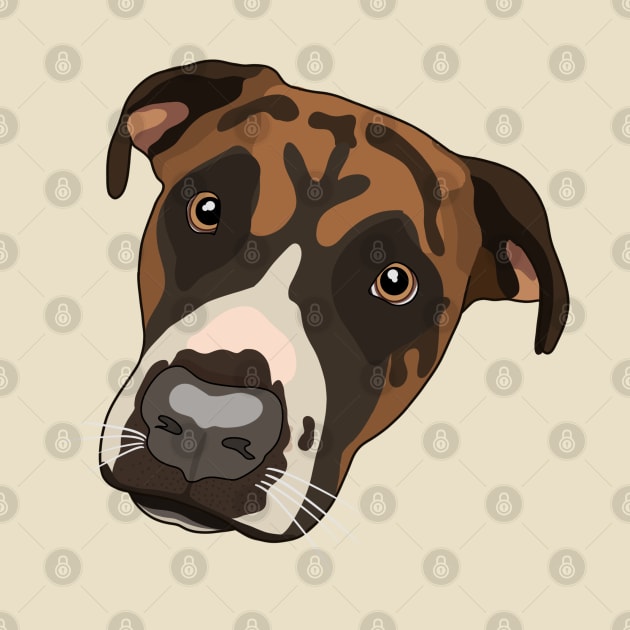 Boxer Dog by crankycranium