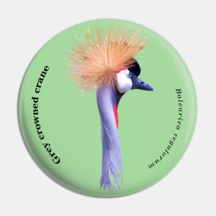 Grey crowned crane tropical bird pin black text Pin