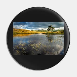 Kelly Hall Tarn Lake View with Pine Tree Pin