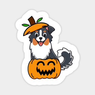 Cute Collie Dog is in a pumpkin Magnet