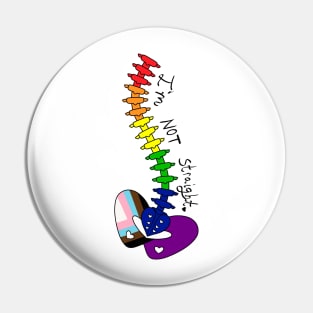 Not Straight - Rainbow Pin