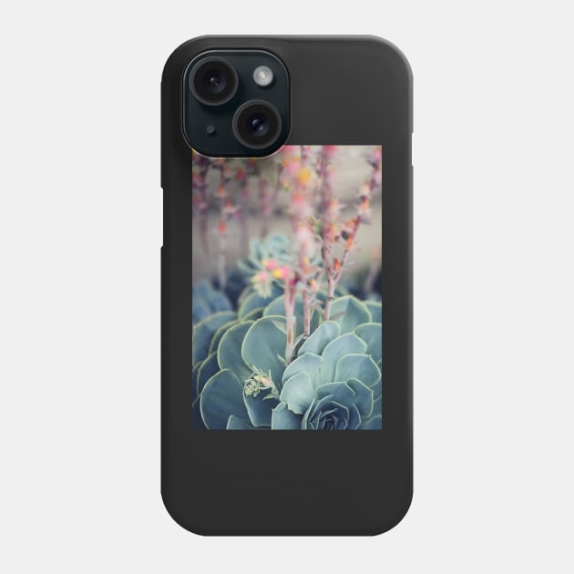 Echeveria #4 Phone Case by ALICIABOCK