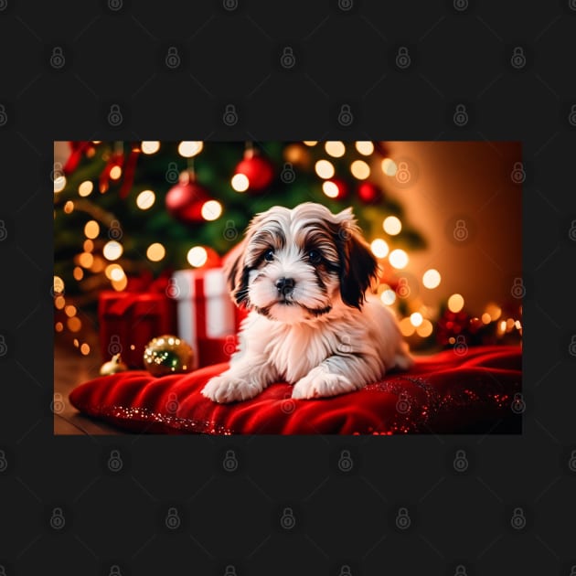 Cute Havanese Puppy Dog Christmas by nicecorgi