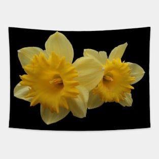 Daffodils in the spring Tapestry