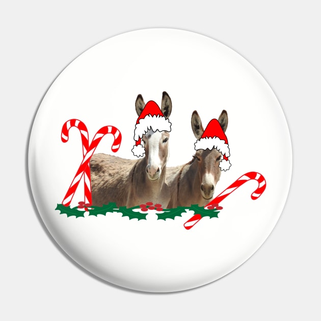 Wildlife, gifts, Christmas, donkeys, wild burros, Oatman, Arizona Pin by sandyo2ly