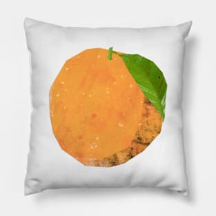 Whole Grapefruit Pillow