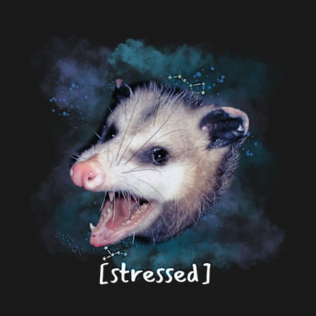 Opossum Stressed Funny Street Cat Meme Possum Lovers by larfly