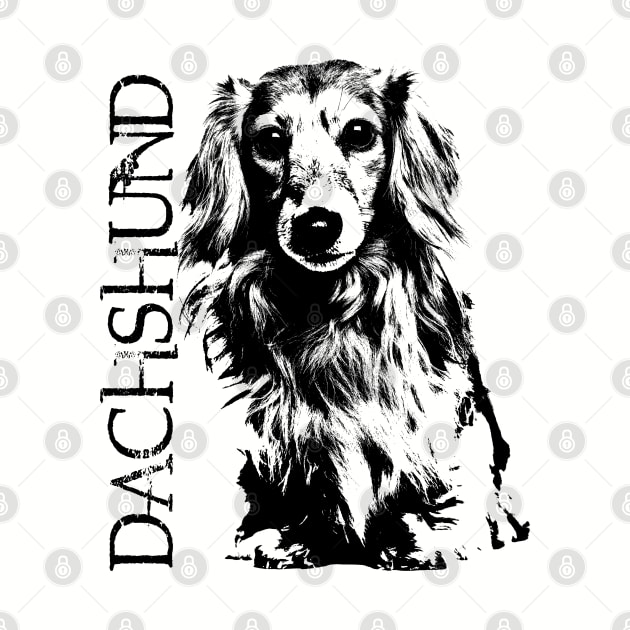 Dachshund dog  - Doxie by Nartissima