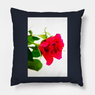 Red Rose For You Pillow