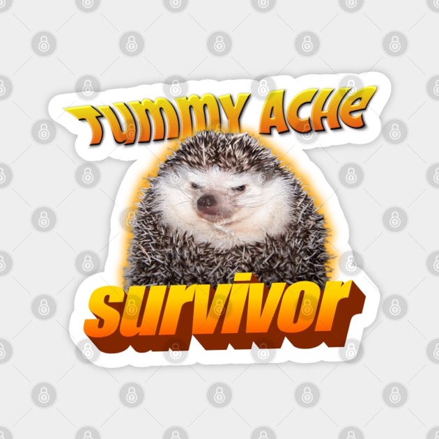 Tummy Ache Survivor Meme Magnet by swankyswamprat