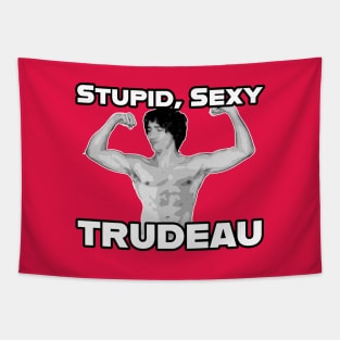 Stupid, Sexy Trudeau Tapestry