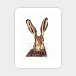 Hare Colour Magnet