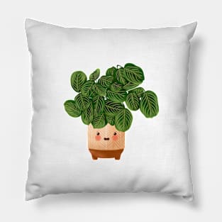 Plant Illustration, Lemon Lime Prayer Plant - Maranta 3 Pillow