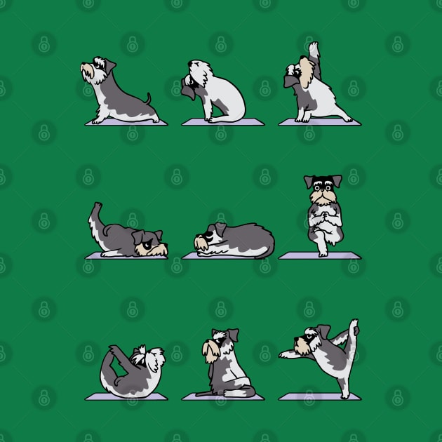 Miniature Schnauzer yoga by huebucket