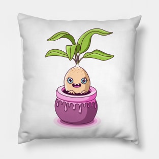 Mandrake Pillow