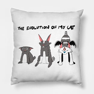 Evolution of my cat. Pillow