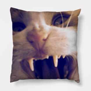 Angry Pap Pillow