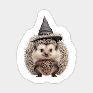 Cute Hedgehog Witch Magnet